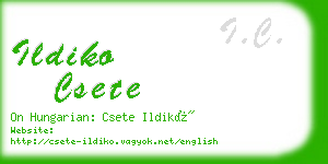 ildiko csete business card